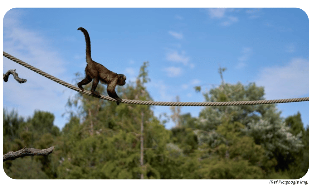 Durgesh Aranya Zoological Park: India’s First IGBC-Certified Eco-Friendly Zoo